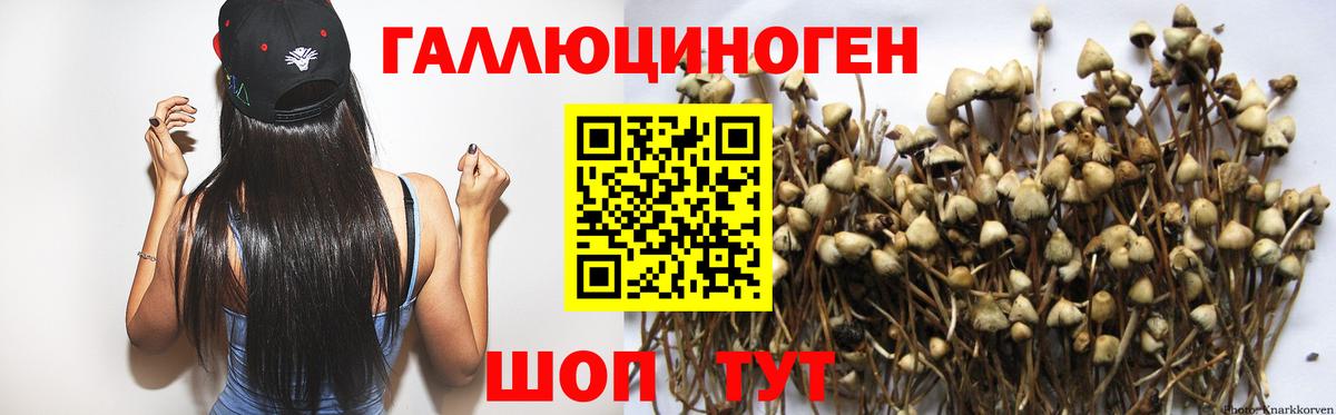 Сарапул  купить  сайты  Псилоцибиновые грибы Magic Shrooms  Вход с VPN  Псилоцибиновые грибы Psilocybe 